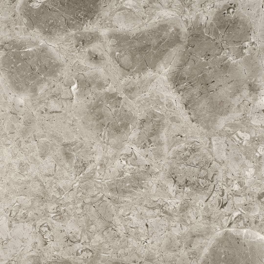 Grigio Levanto polished marble slab