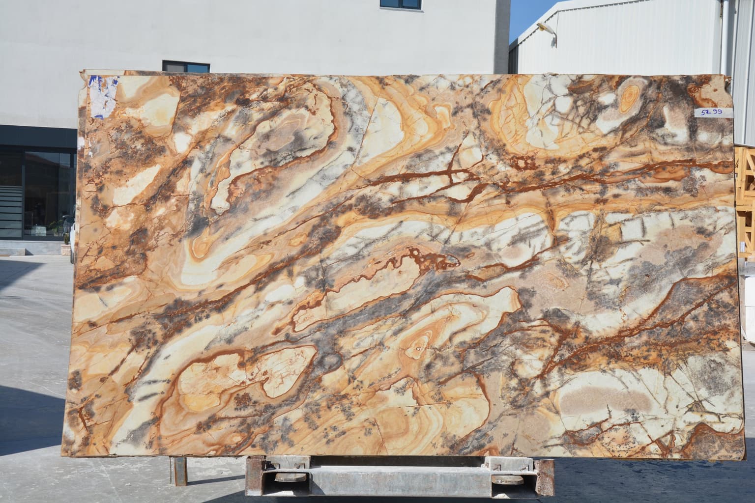 Petrified Wood - Photo 1