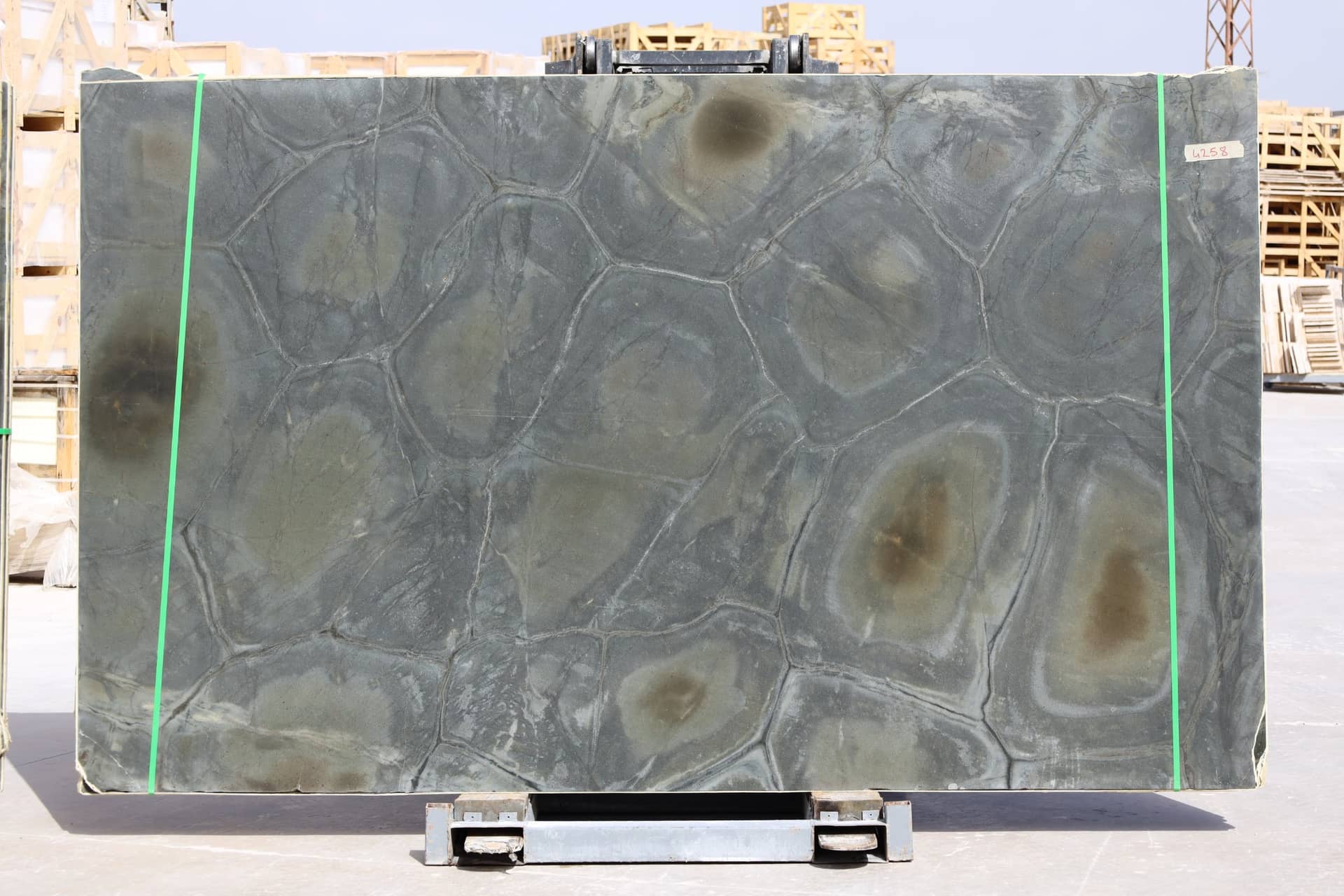 Turtle polished marble slab