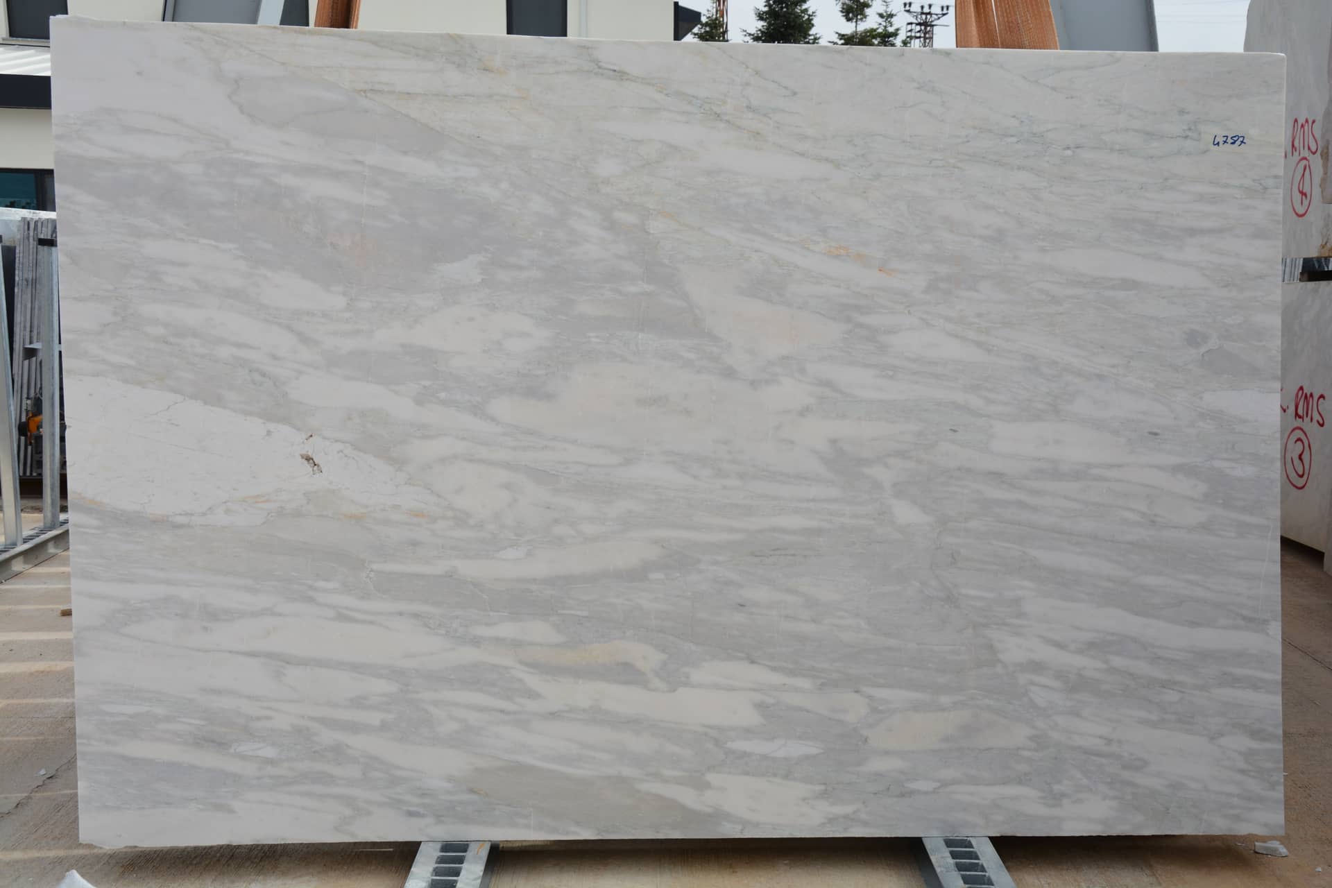 Calacatta slab in White