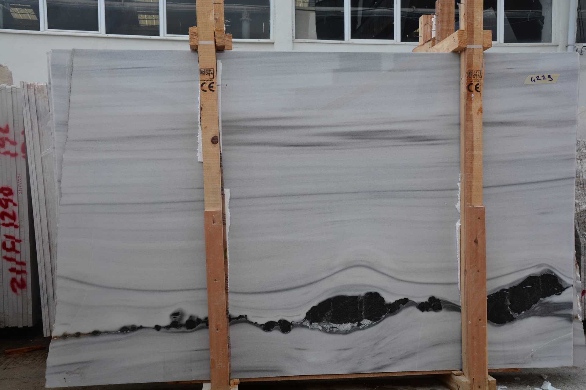 Panda White - Photo 1