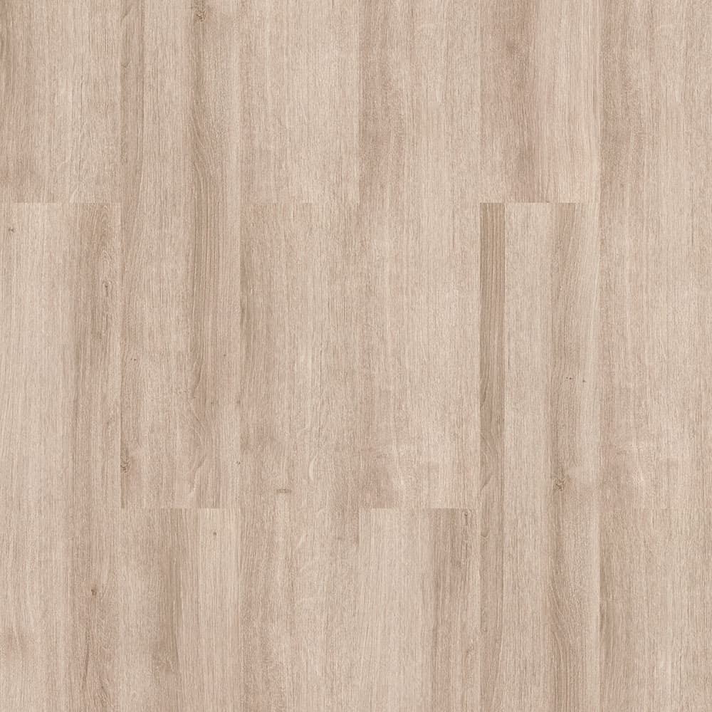 Assos Meşe - Photo 1