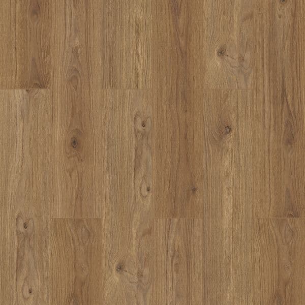 Helio Oak - Photo 1