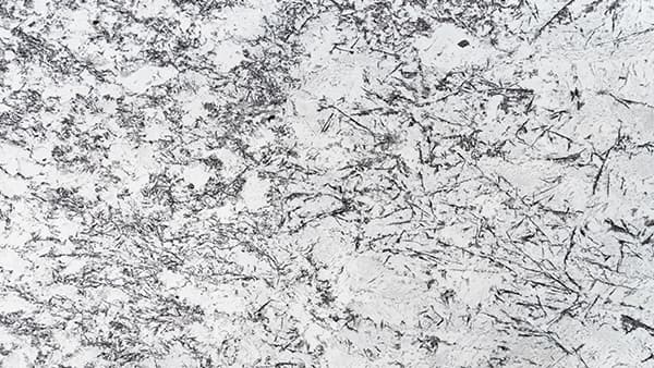 WHITE ORION - Photo 1