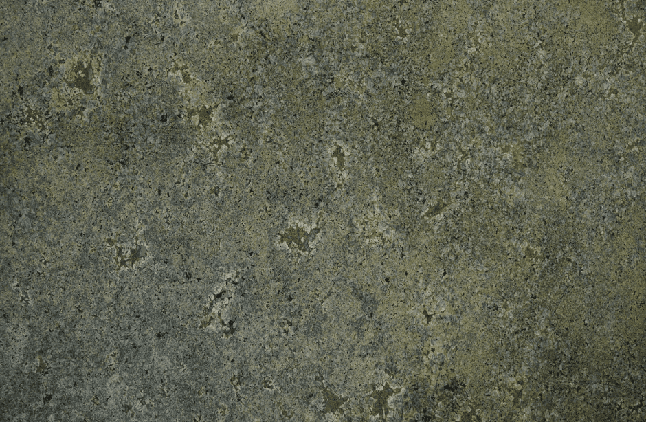 Sea Foam Green PR - Photo 1