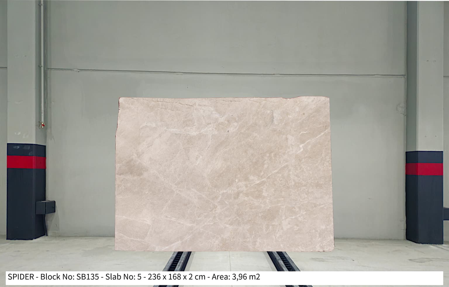 SPİDER Polished marble slab