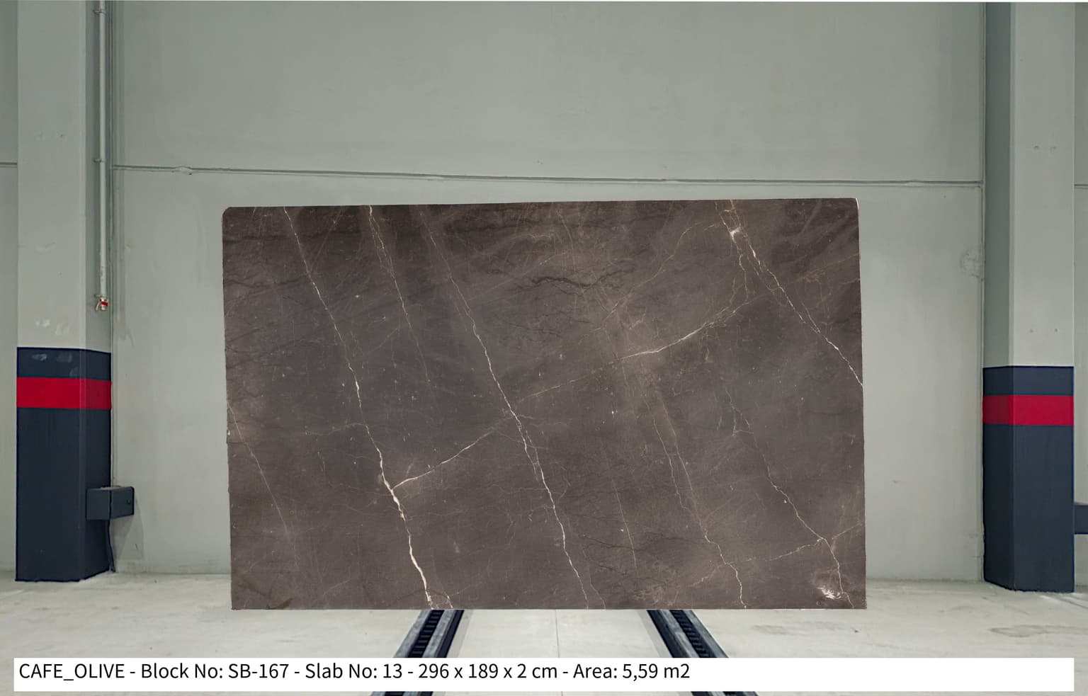 CAFE OLIVE Polished marble slab