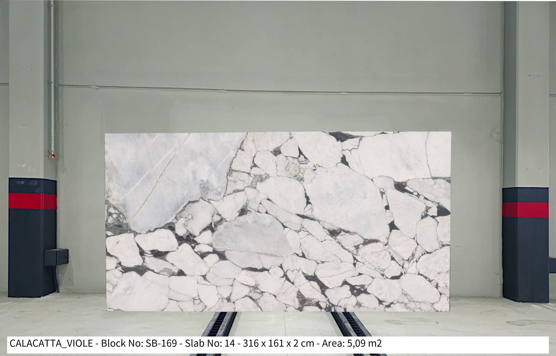 CALACATTA VIOLA Honed marble slab