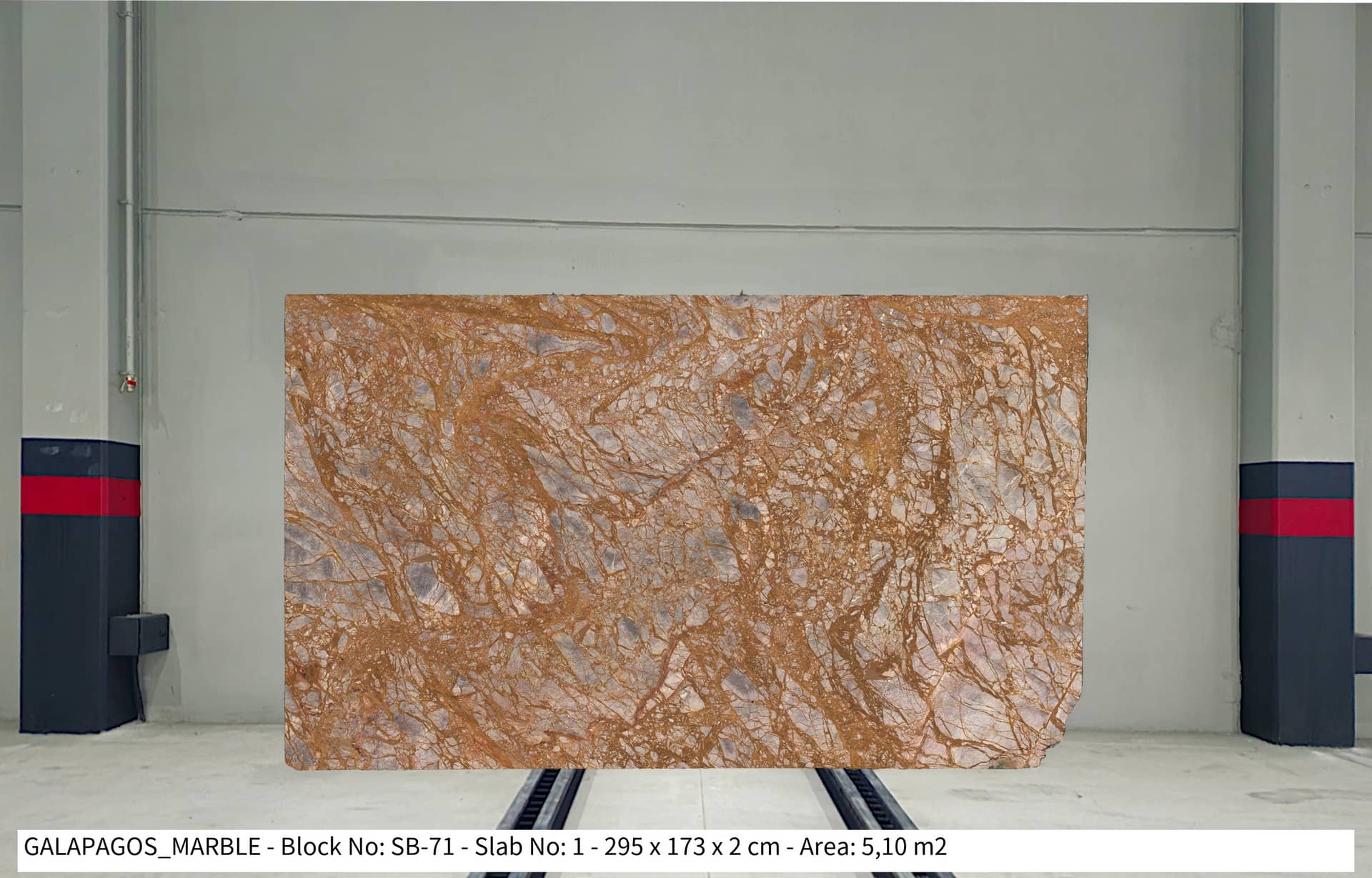 GALAPAGOS MARBLE Brushed marble slab in Multicolor