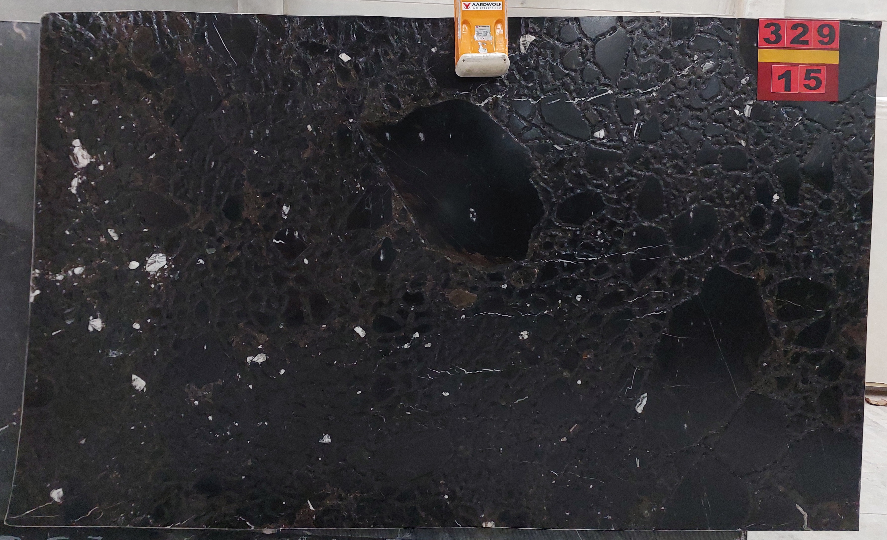 BLACK PARADISO A329 - Photo 1