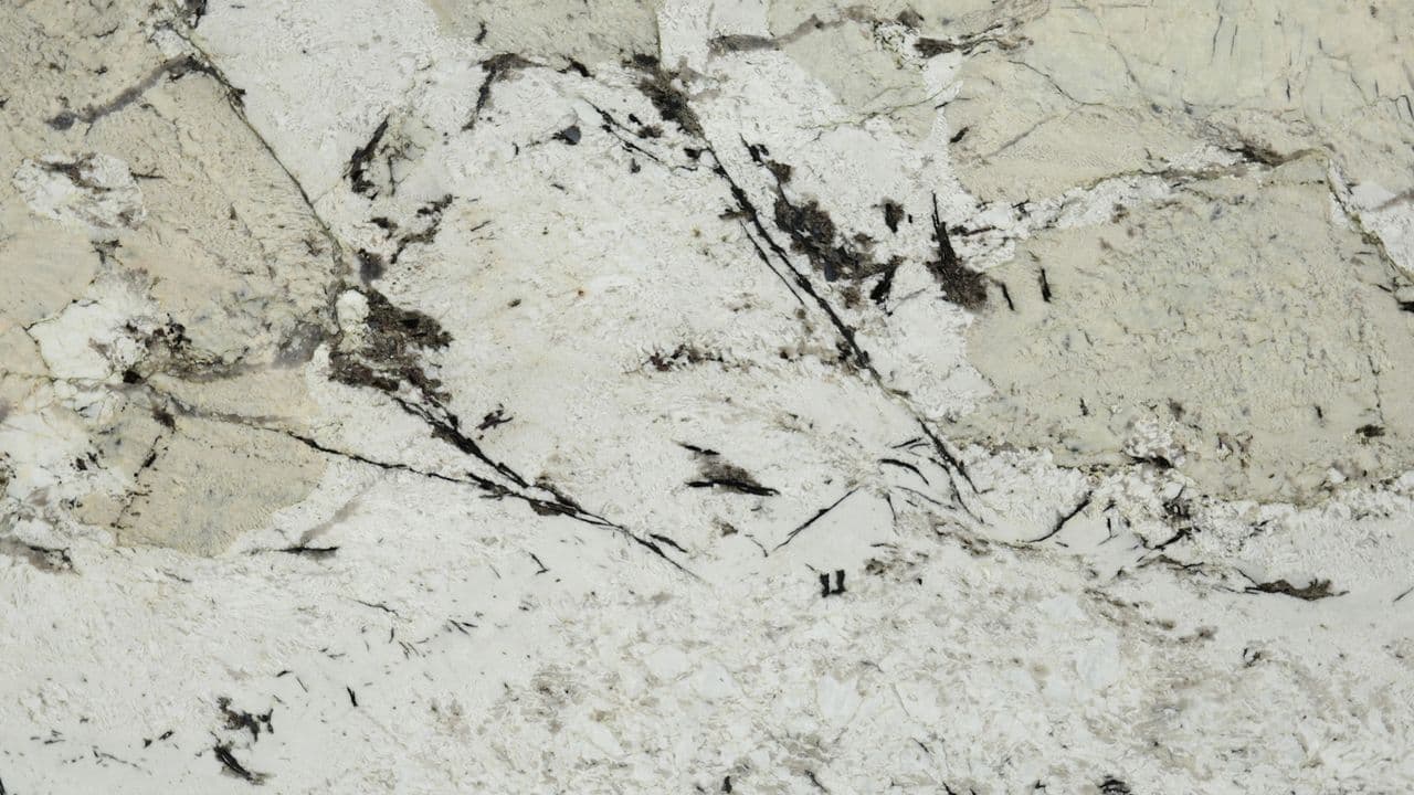 ALPINUS - Photo 1