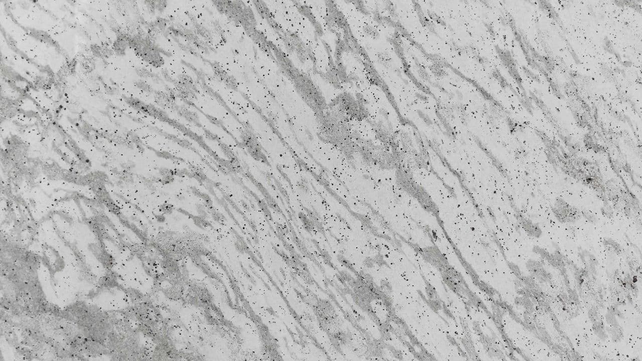 ANDROMEDA WHITE - Photo 1