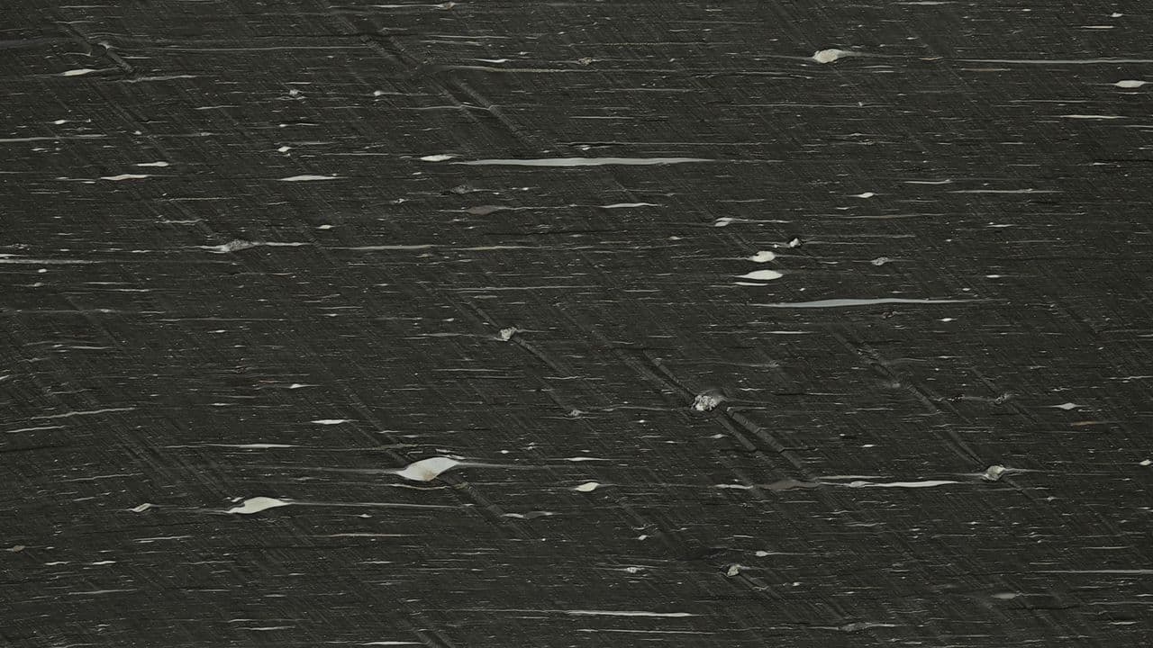 BLACK CYGNUS - Photo 1