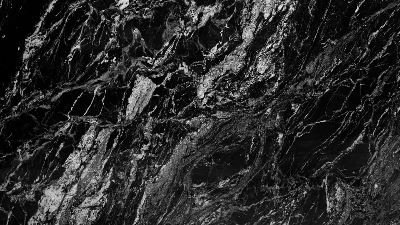 BLACK FOREST - Photo 1