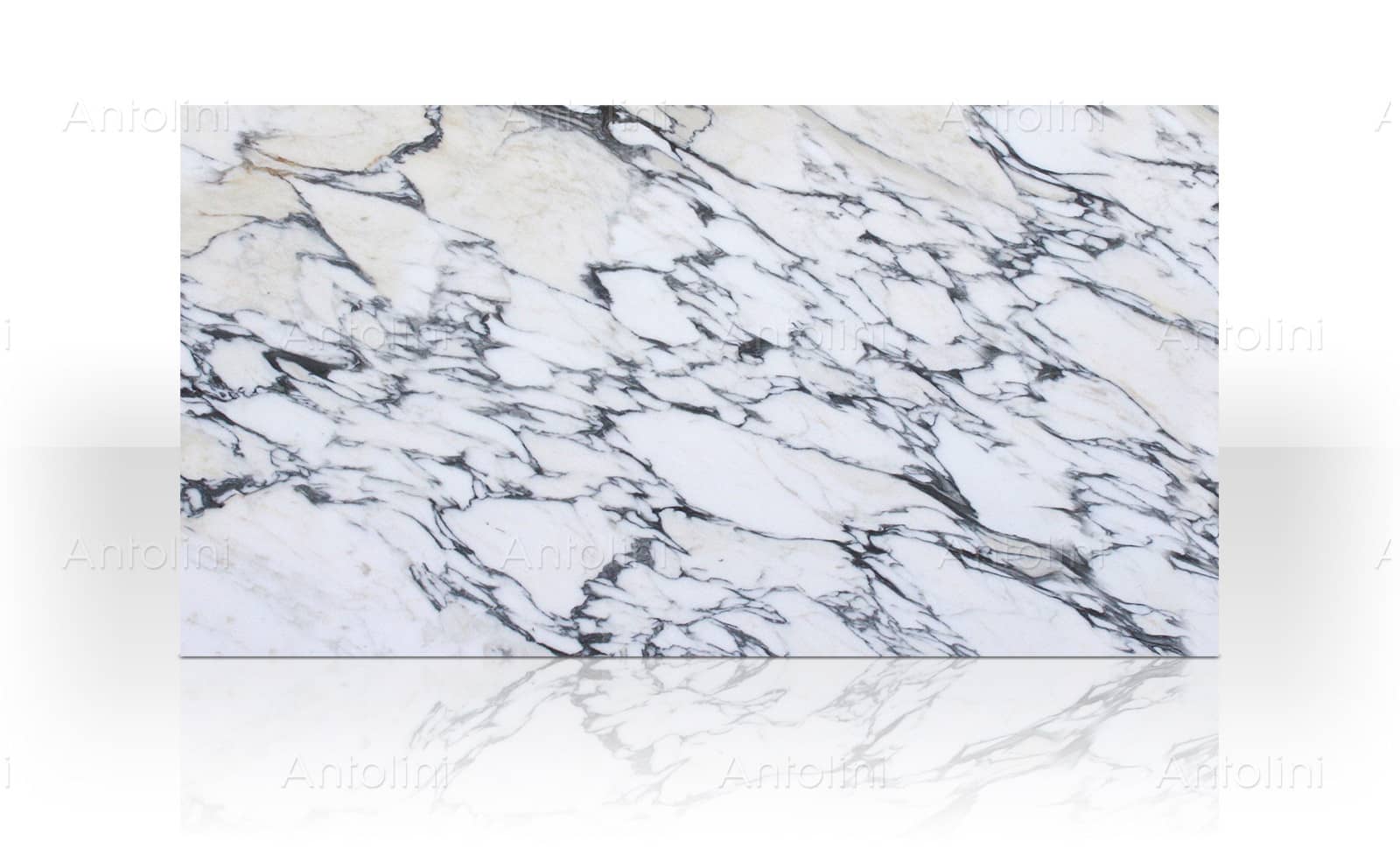 Arabescato Corchia "Extra" marble slab