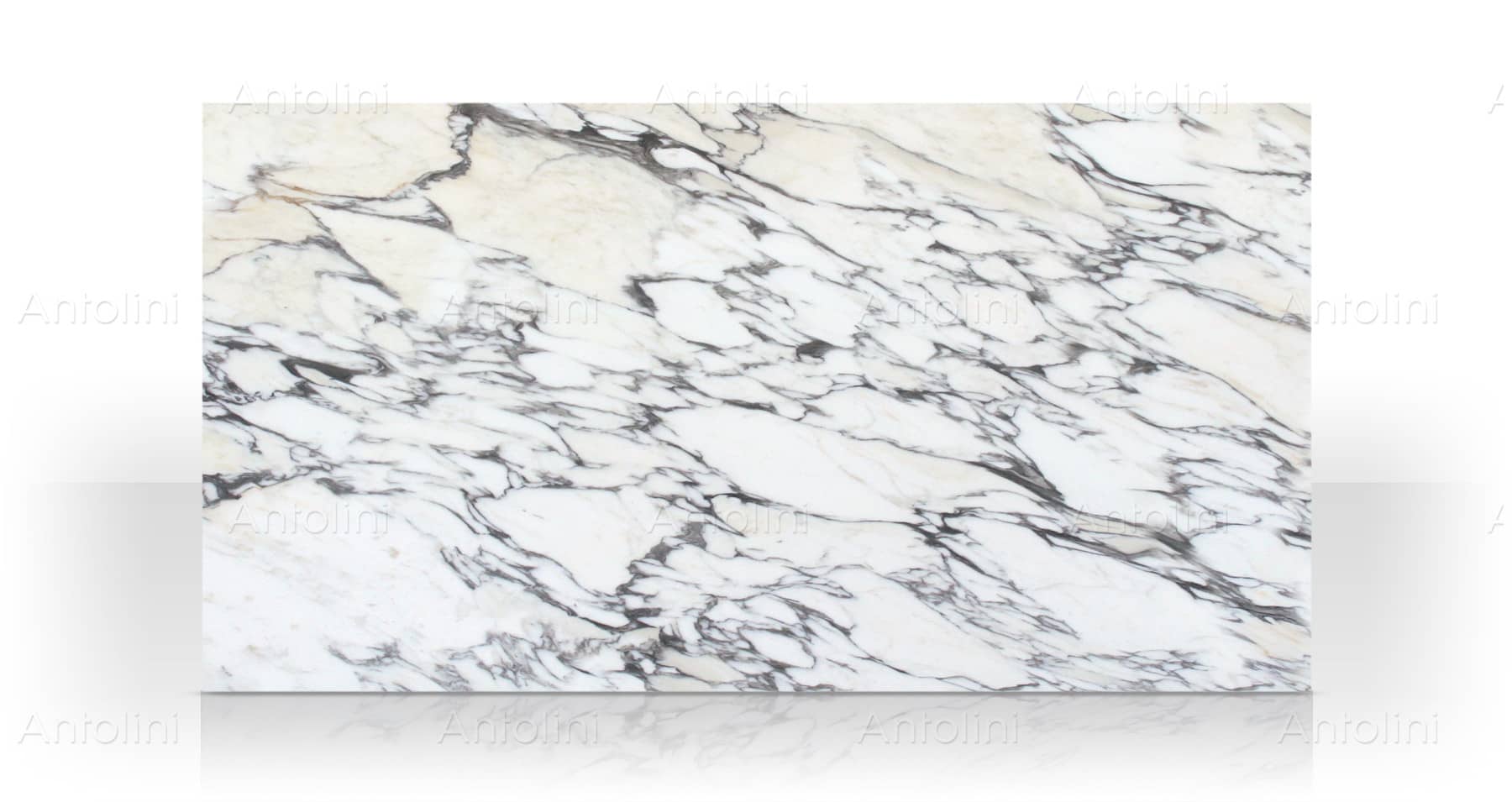Arabescato Corchia "Super Extra" marble slab