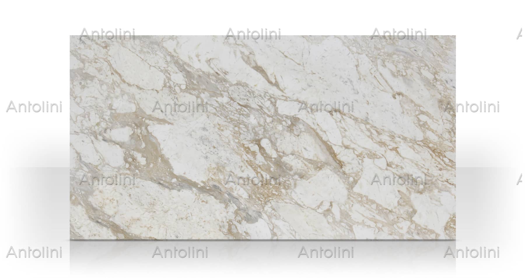 Arabescato Cremo marble slab