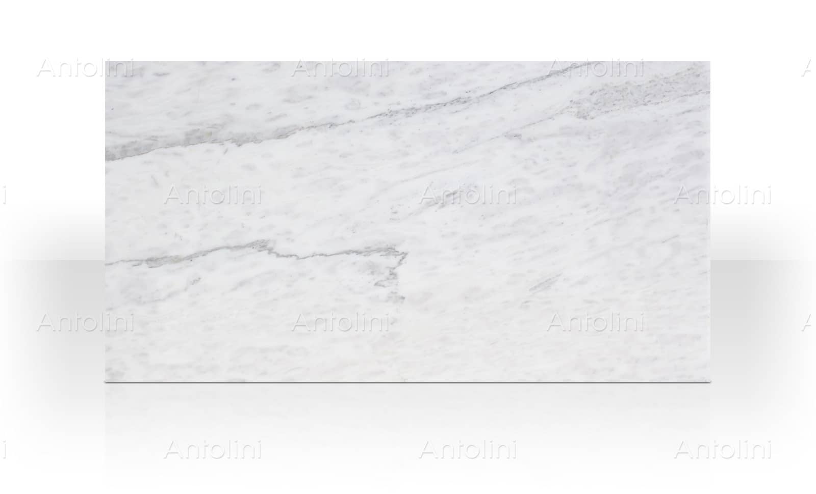 Bianco Delicato marble slab