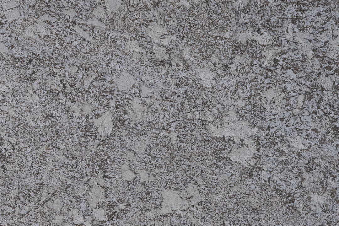Magnific White - Photo 1